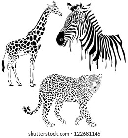 Vector set of black silhouette wild animals, zebra, leopard, giraffe