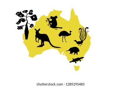 Vector set of black silhouettes of animals and a bottle tree on the yellow contour of Australia
