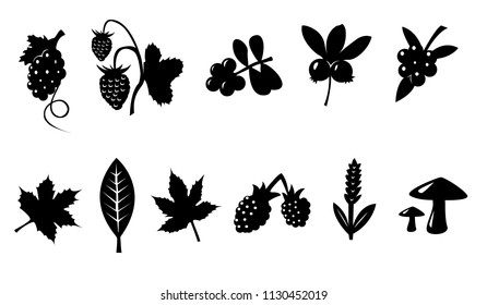 Vector set of black silhouettes of berries and leaves isolated on white background. The set includes grapes, strawberries, cranberries, blueberries, maple leaves, raspberries, wheat and mushrooms.