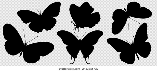 Vector set of black silhouettes of butterflies of different types from different angles isolated on a transparent background.