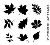 Vector set of black silhouettes of leaves on a white background.