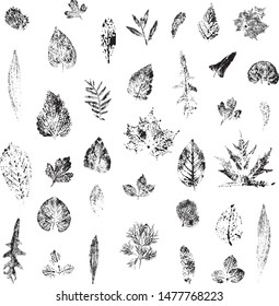 Vector set of black silhouettes of leaves trees.