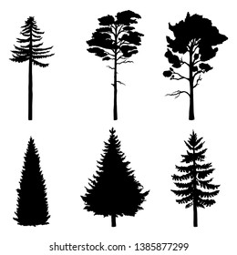 Vector Set of Black Silhouettes of Pine Trees