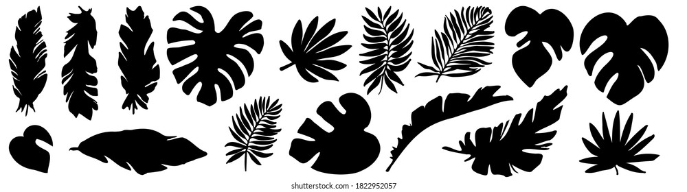 Vector set of black silhouettes of tropical leaves. Collection of exotic leaves of monstera, palm, banana isolated on a white background. Horizontal composition