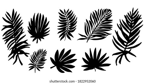 Conjunto vectorial de siluetas negras de hojas tropicales. Colección de hojas exóticas de palma aisladas en un fondo blanco. Composición horizontal