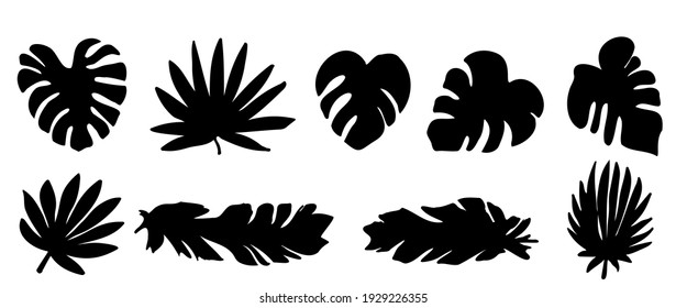 Vector set of black silhouettes of tropical leaves. Collection of exotic leaves of monstera, palm, banana isolated on a white background. Large vector collection of plant silhouettes  elements.