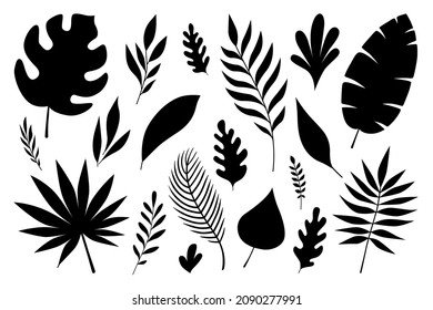 Vector set of black silhouettes of tropical leaves palms and trees isolated on a white background