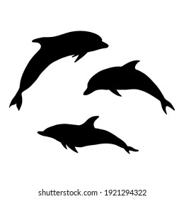 Vector Set of Black Sulhouette Dolphins