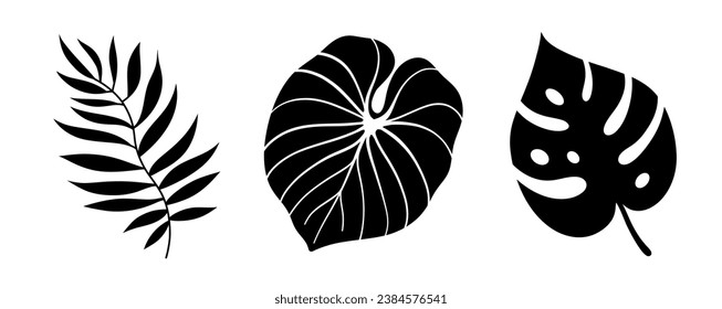 Vektorset aus schwarzen tropischen Blättern. Palmen und Monstera.