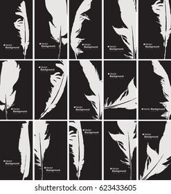 vector set of black and white business cards with a bird feather