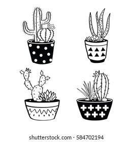 Vector set with black and white cactuses and succulents in pots. Modern scandinavian design