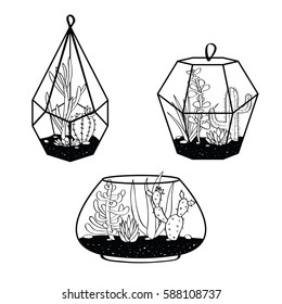 Vector set with black and white cactuses and succulents in terrariums. Illustration with home plants in scandinavian style.