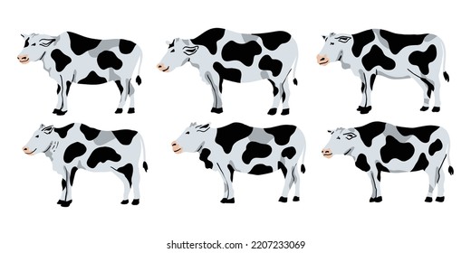 vector set of black and white cows