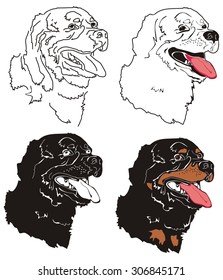 Vector set of black and white dogs.