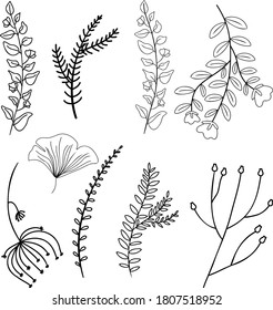 vector set of black and white flowers