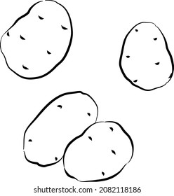 vector set of black and white illustrations of whole potatoes hand drawn sketch set of  for web design.
