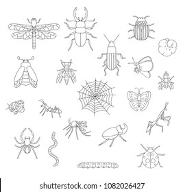 Vector set of black and white insects. Collection of isolated on white background monochrome bee, bumble bee, may-bug, fly, moth, butterfly, caterpillar, spider, ladybug, beetle, dragonfly