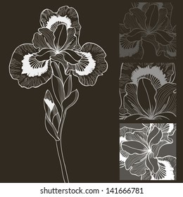 Vector set of black and white iris flower. Decorative elements.