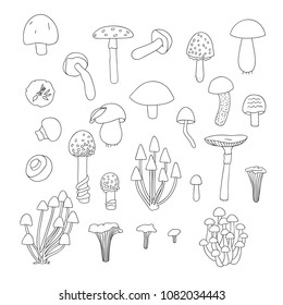 Vector set of black and white mushrooms. Collection of isolated monochrome aspen, orange-cup, champignon, chanterelle, toadstool, death cap, fungus. Food elements in cartoon style.