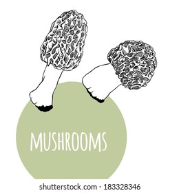 Vector set with black and white mushrooms and green circle