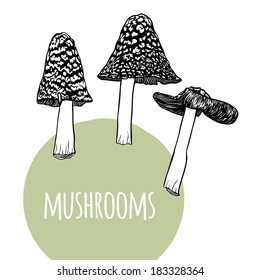 Vector set with black and white mushrooms and green circle