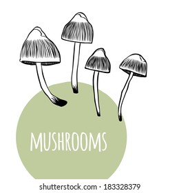Vector set with black and white mushrooms and green circle