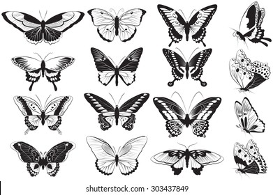 Vector set of Black and white realistic butterflies 