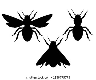 Vector set of black and white silhouettes of insects. Elements for logo with moth, beetle, bee. Graphic design of insects for tattoo or label isolated from white background