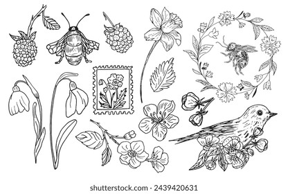 Vector set with blooming branches, flowers, berries, bird, wreath and bees. Botanical hand-drawn graphic sketch for postcards, invitations, tattoos, labels, stickers