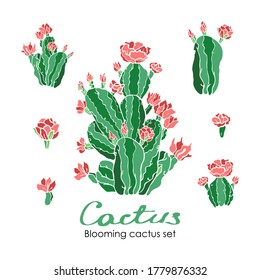 Vector set of blooming cactus. Mexican cactus with vibrant flowers in various stages of flowering. Houseplants.