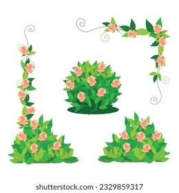 Vector set of blooming rose bushes and weaving roses in pink on a white background. Floral elements for wedding decorations, postcards or social networks on a white background.