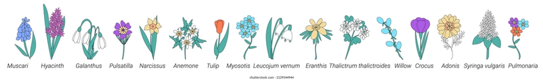 Vector Set Blooming Spring Flowers  in doodle style. Collection of Herbs and Wild Flowers of signed titles. Garden or Forest Blossoms. Cartoon Vector Illustration