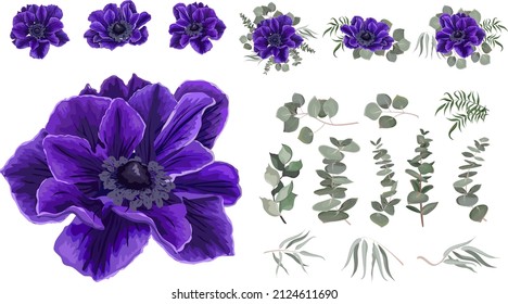 Vector set of blue anemones and plants. Compositions of plants. Plants and flowers isolated on a white background. Elements for floral design.