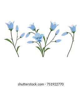 Vector set of blue bluebell flowers isolated on a white background.