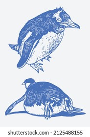 Vector set of blue color penguins,graphics