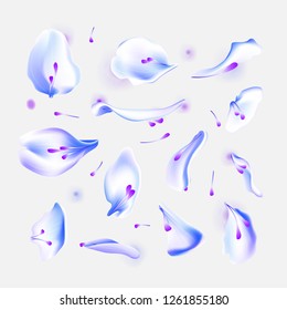 Vector set of blue falling rose and sakura petals. Blurred spring blossom petal set with decorative elements, stamen. Sakura petal set, blossom rose petals objects, petal element set with blured