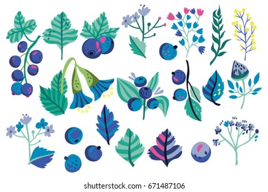 Vector set of blue flowers, berries and floral compositions. 