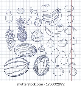 Vector Set of Blue Hand Drawn Sketch Fruits