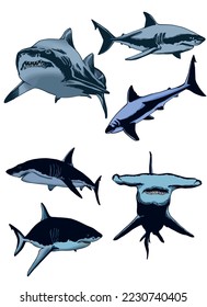 Vector set of blue sharks on white isolated, color illustration,underwater marine life