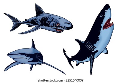 Conjunto vectorial de tiburones azules sobre blancos aislados, ilustración de color, vida marina submarina