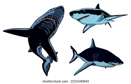 Vector set of blue sharks on white isolated, color illustration,underwater marine life