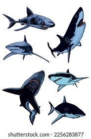 Conjunto vectorial de tiburones azules sobre blancos aislados, ilustración de color, vida marina submarina