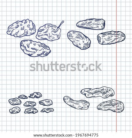 Vector Set of Blue Sketch Dried Fruits. Prune, Date Fruit, Raisin and Dried Apricot.