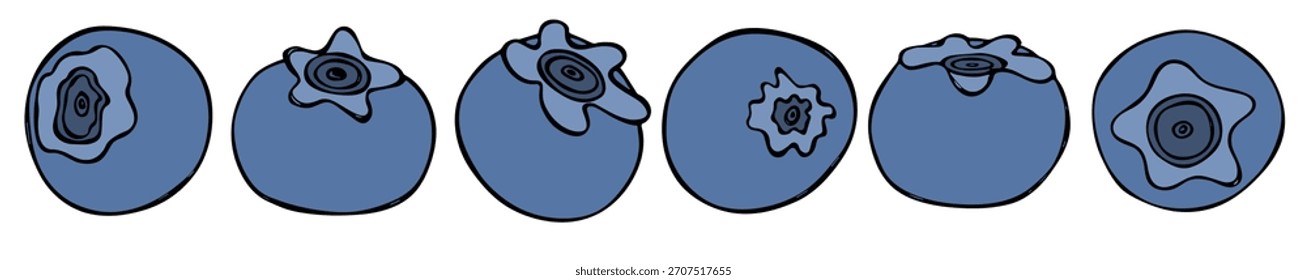 Conjunto de Vector de Clipart de arándanos. Dibujado a mano icono de la baya. Ilustración de frutas. Para impresión, Web, diseño, decoración, logotipo.