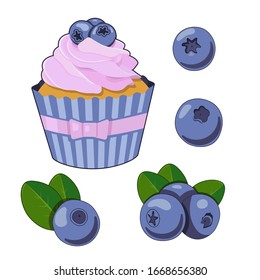 Vector set with blueberry and cupcake