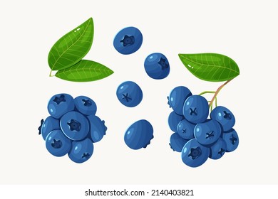 Vector set of blueberry with leaves isolated on a white background.