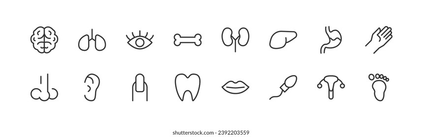 Vector set of body part thin line icons. Design of stroke pictograms. Signs of calendar isolated on a white background