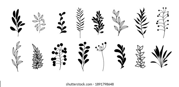 Vector set of bohemian style plants, branches, twigs. Collection of botanical black home wall art decor boho elements isolated on white background. Floral design bundle