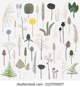 Vector set of boho plants. Beautiful pastel wild grass and flowers. Collection of floral elements: pampas grass, poppy heads, palm leaves, cotton and other. Stylish flat elements for your design