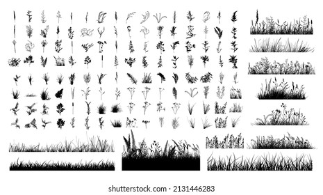 Vector set of boho plants. Beautiful wild grass and flowers. Collection of floral elements: pampas grass, poppy heads, lavander, cotton and other. Stylish flat elements for your design